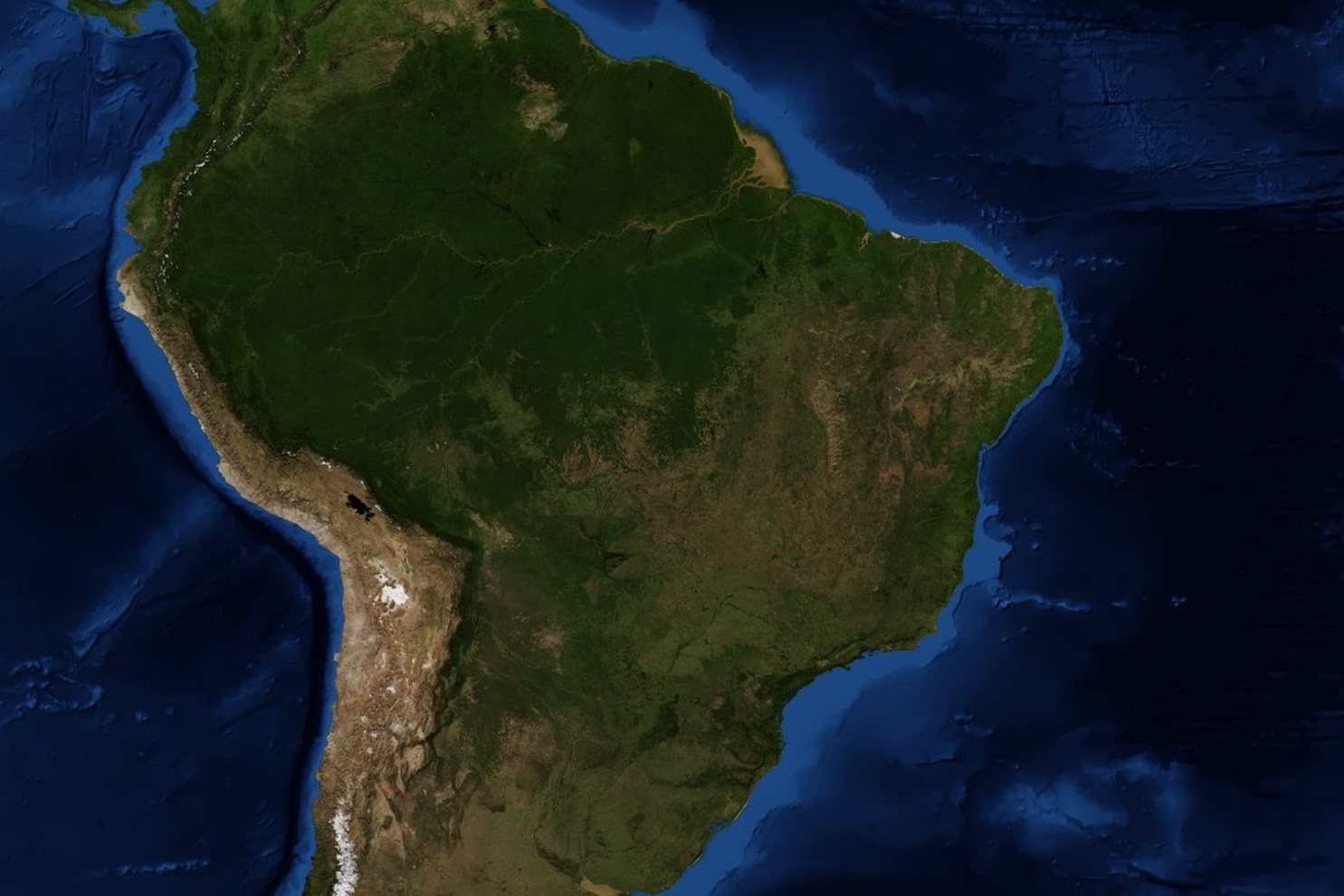 América do Sul vista do espaço, com o Brasil ao centro, em mosaico de imagens de satélite sem nuvens